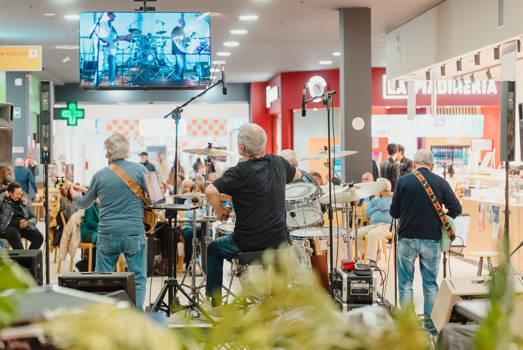 aurelia live music